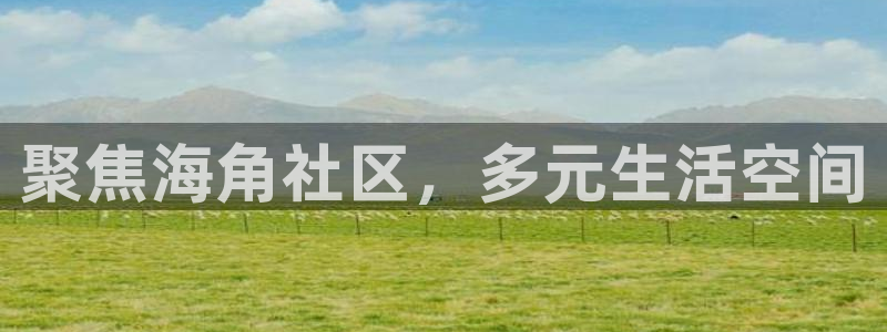 海角社区6b6：聚焦海角社区，多元生活空间