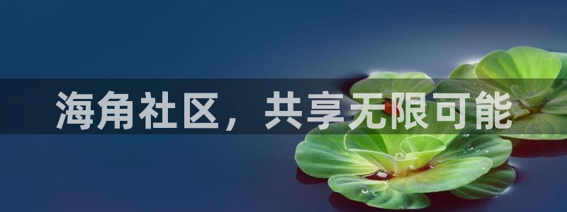 为什么海角社区进不去了：海角社区，共享无限可能
