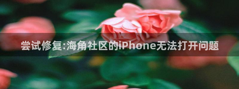 hje57海角社区：尝试修复:海角社区的iPhone无法打开问题